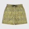 Driftwood Boardshorts