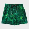 Hummingbird Running Shorts