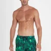 Hummingbird Running Shorts