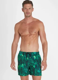Hummingbird Running Shorts