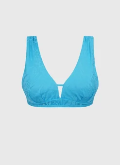 Lapis Celeste D/DD Cup Top