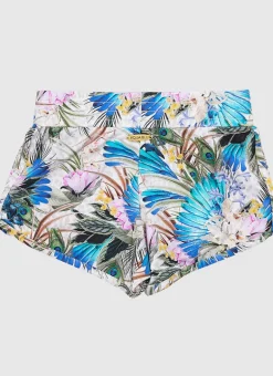 Odyssey Lycra Boardshorts